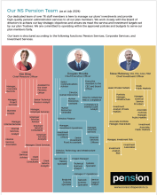 The NS Pension Corporate Structure